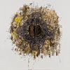 James Cullinane, The End of Owls, 2010